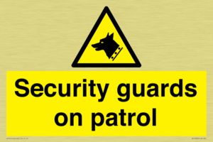 Security guards on patrol